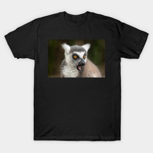 What The?? Ring-Tailed Lemur T-Shirt